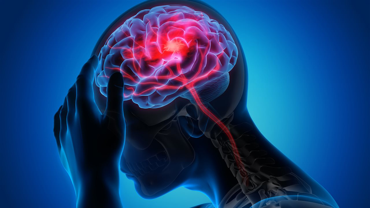 The Brain-Injury Risk a Fight Record Doesn't Show