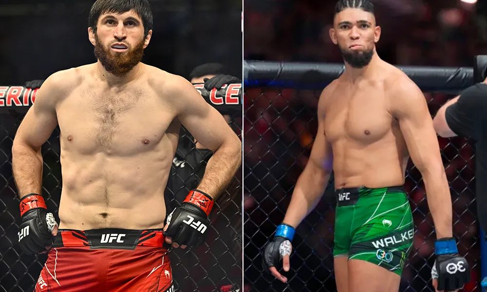 Magomed Ankalaev vs. Johnny Walker 2 Fight Preview on MILLIONS Magomed Ankalaev vs. Johnny Walker 2 Fight Preview