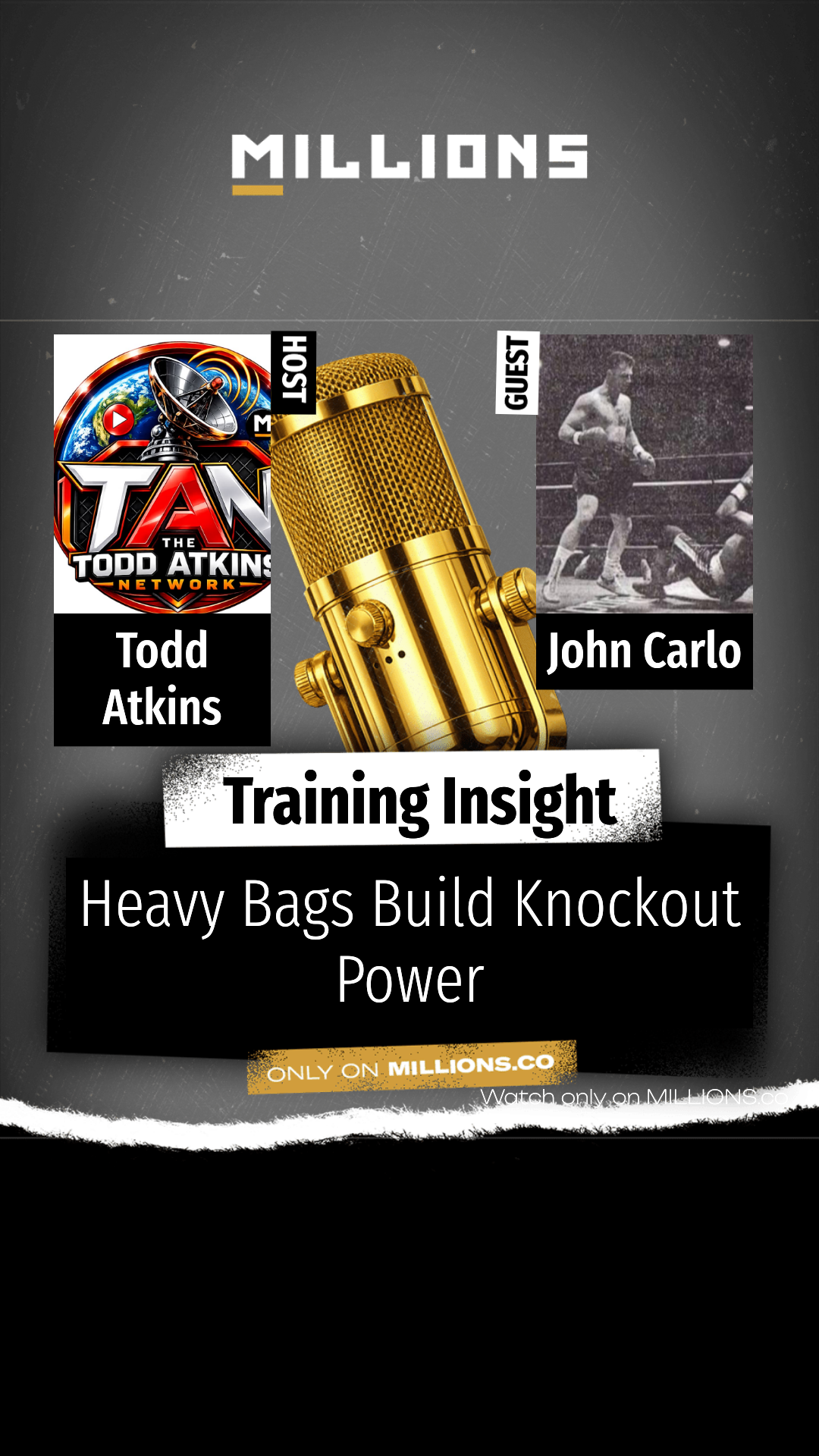 Heavy Bags Build Knockout Power