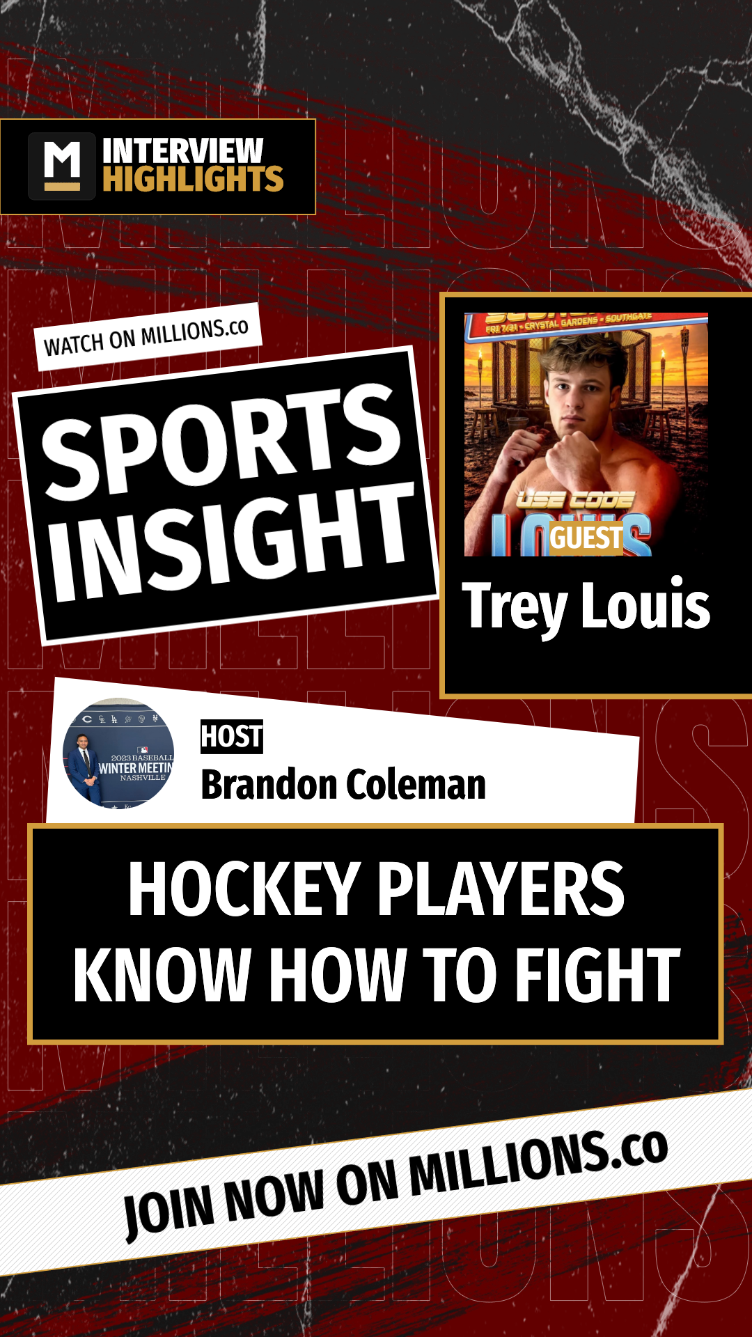 Hockey Players Know How To Fight on MILLIONS Hockey Players Know How To Fight