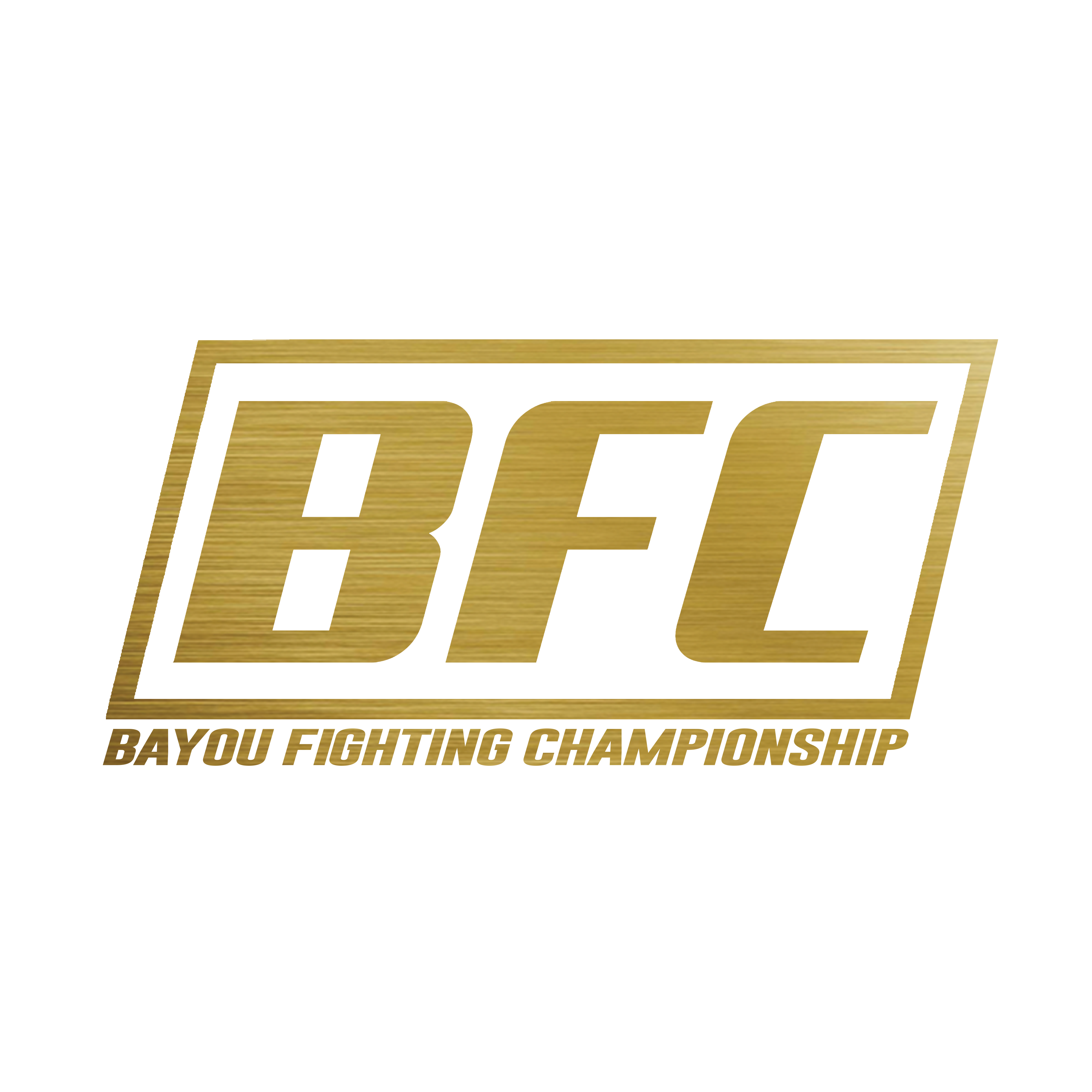 Bayou Fighting Championship MMA