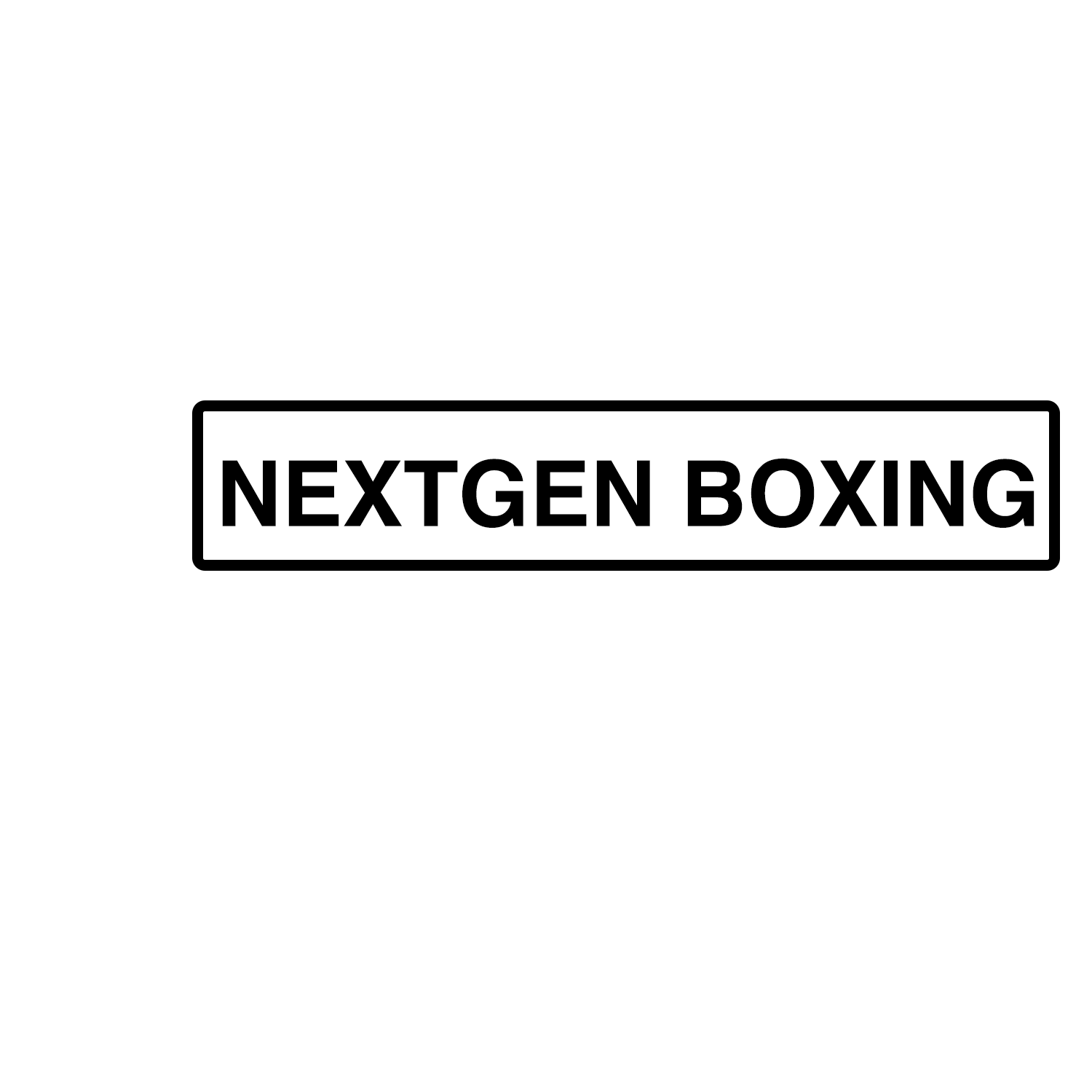 NEXTGEN BOXING
