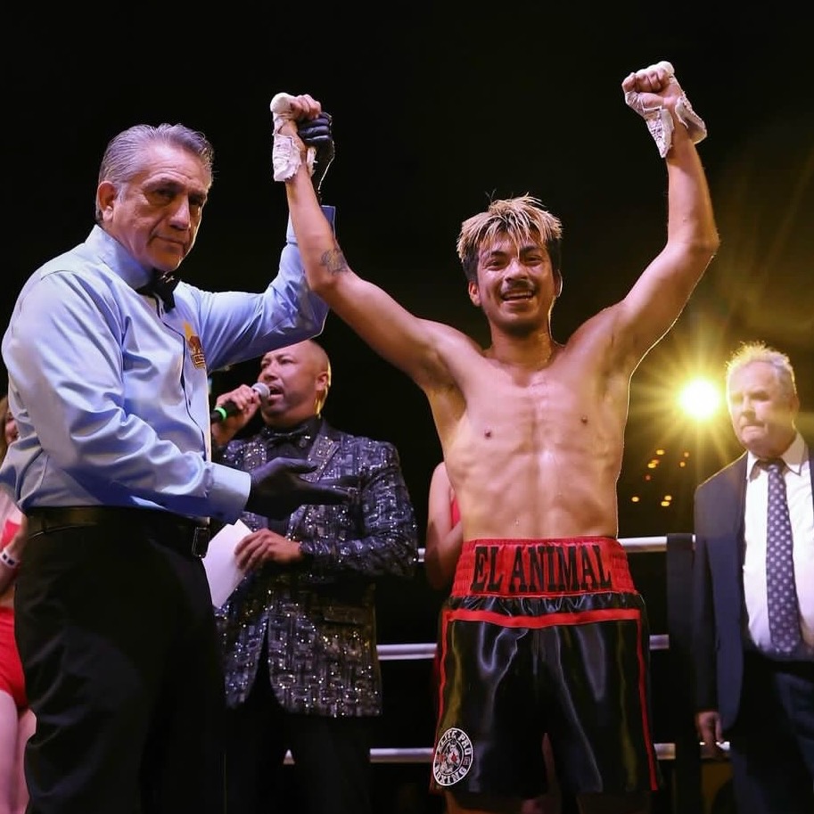 Dominic Gonzales | Boxing | Streams, Videos | MILLIONS