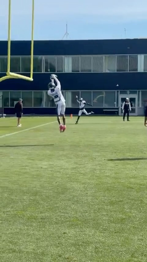 DeVonta Smith making a leaping catc...