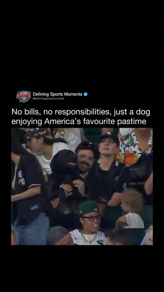 A dog enjoys America's favorite pas...