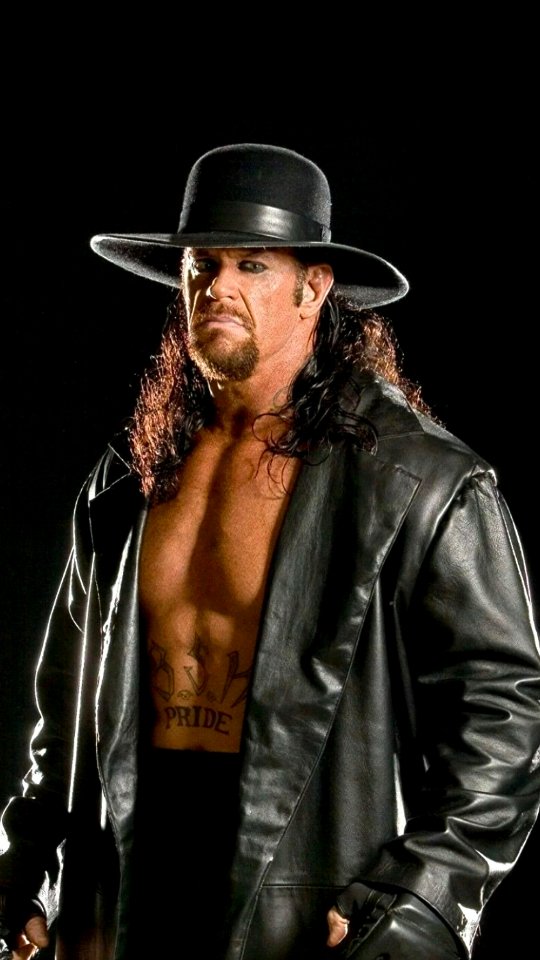 The Undertaker Ultimate Edition '26...