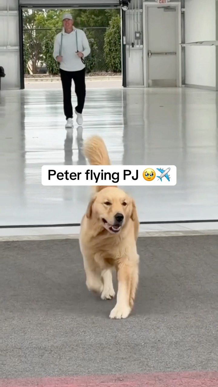 Kirk Herbstreit makes sure that Pet...
