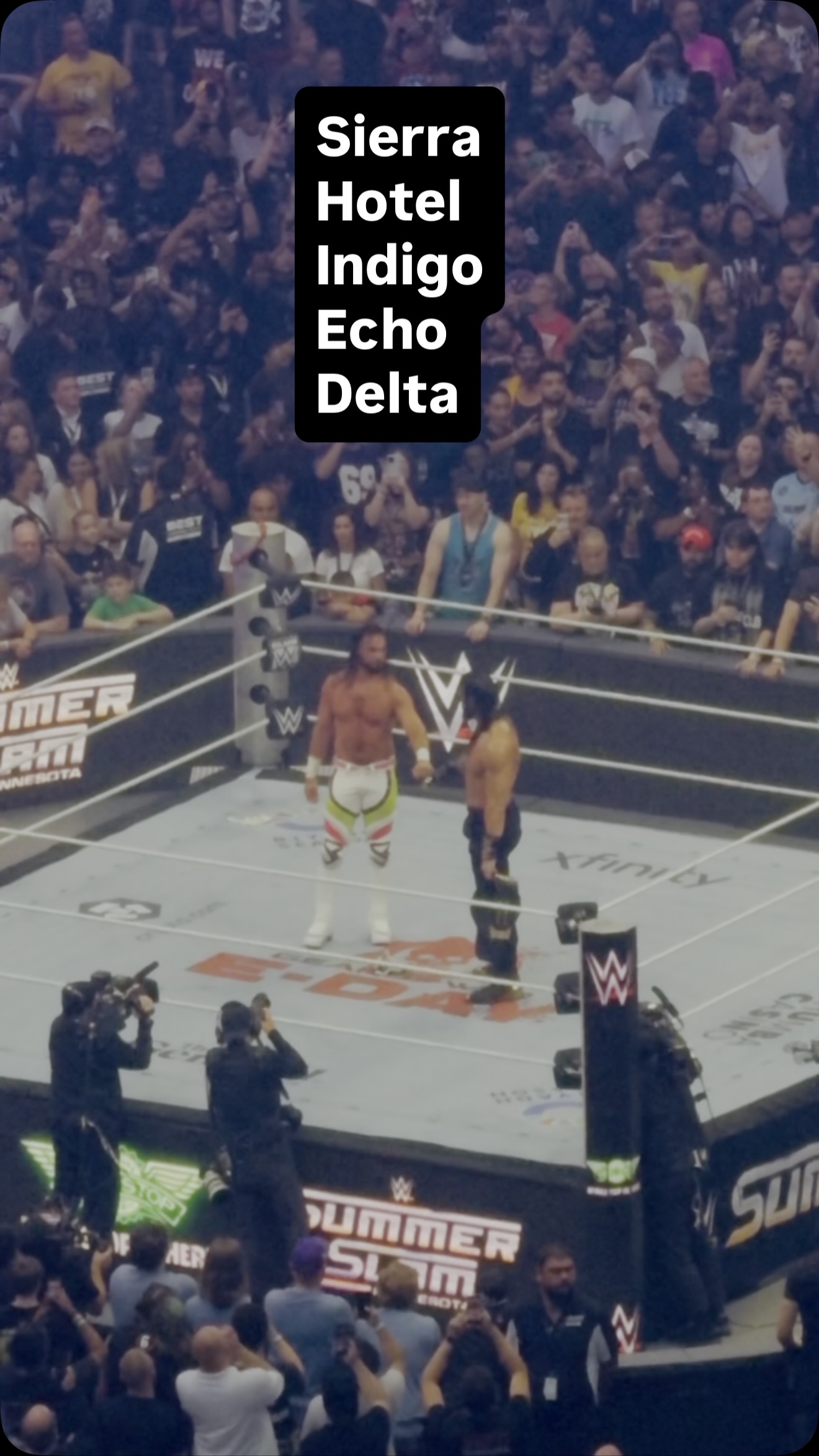 Two wrestlers in the ring at Summer...