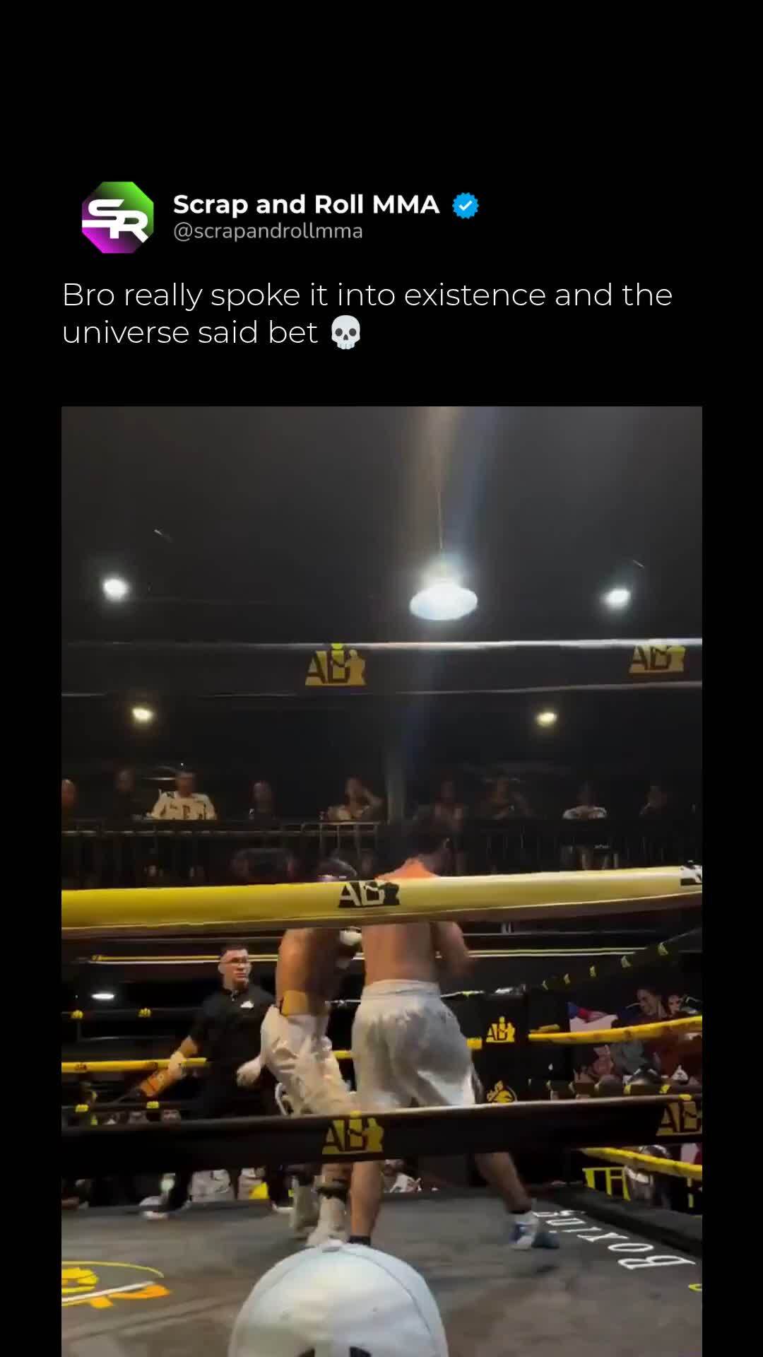 Head kick KO in the ring