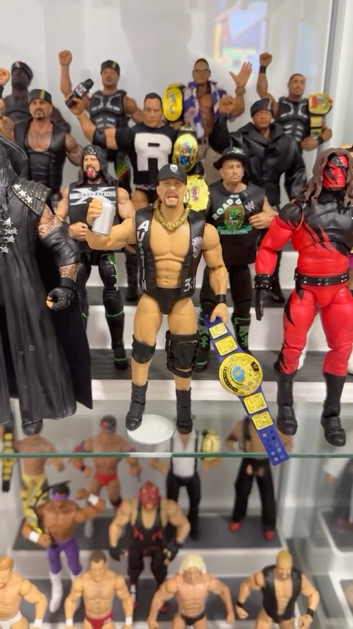 Stone Cold Steve Austin and other W...
