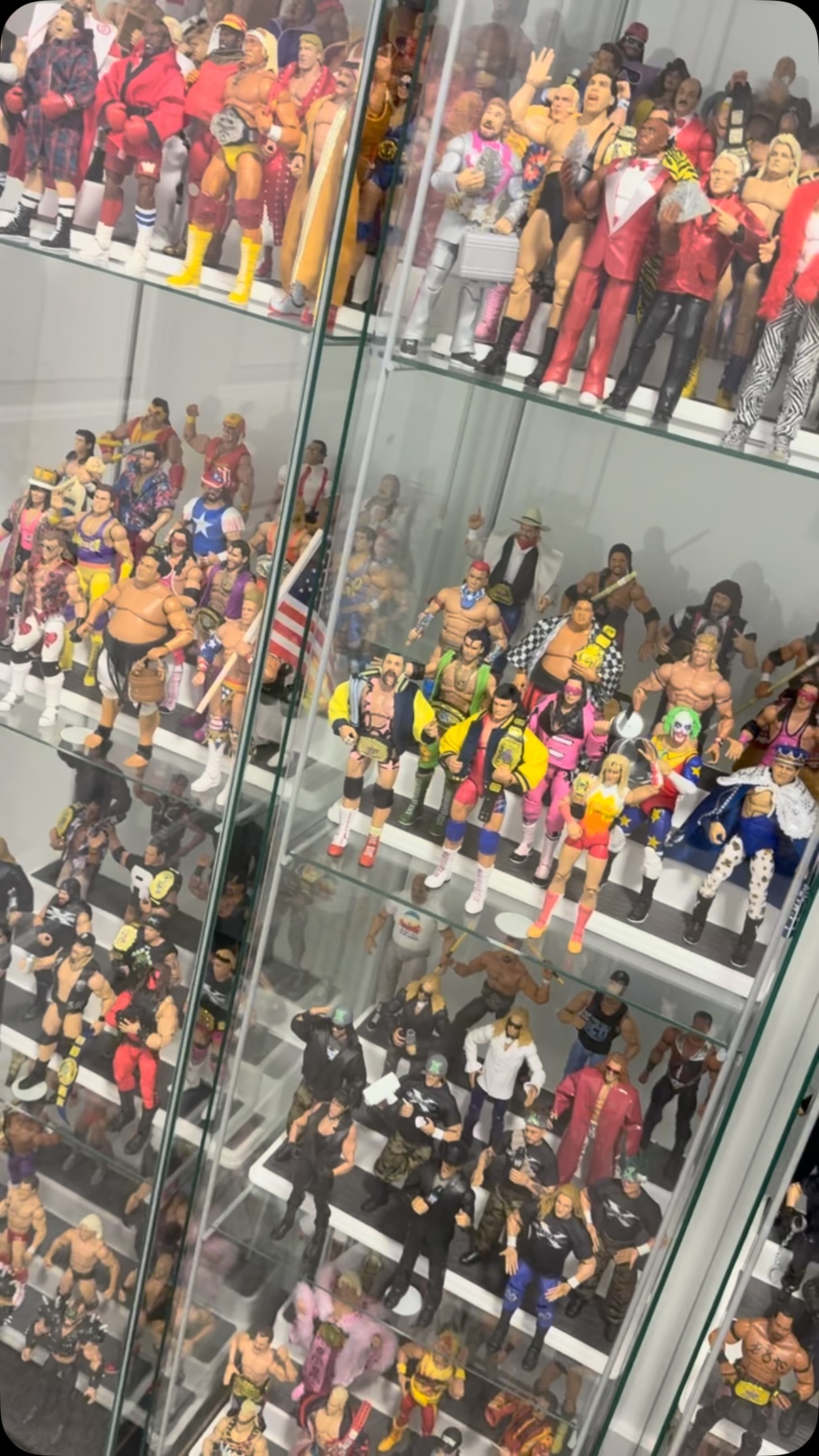 A collection of wrestling action fi...