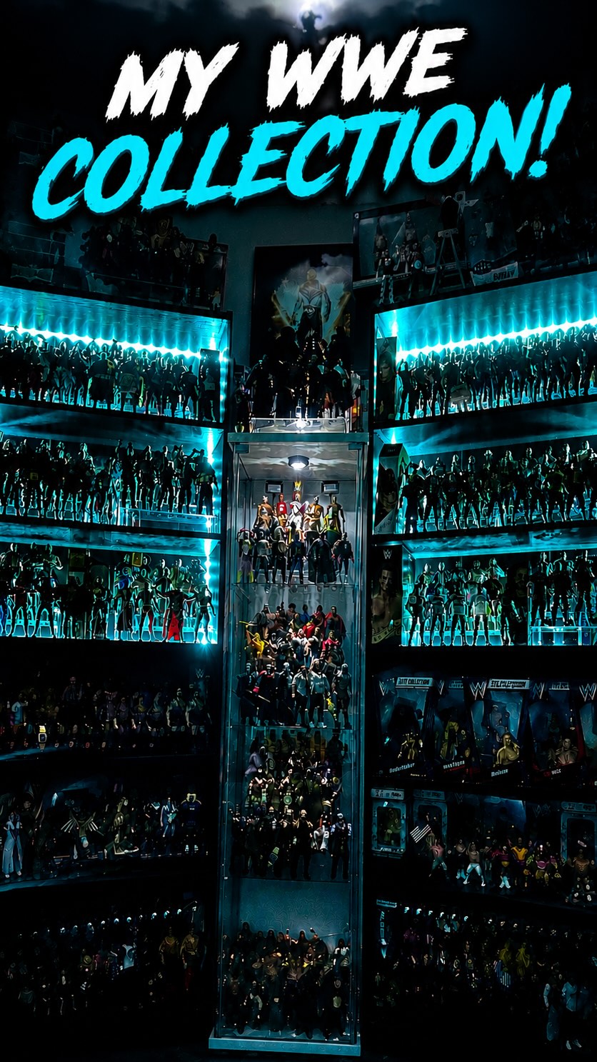 My WWE action figure collection