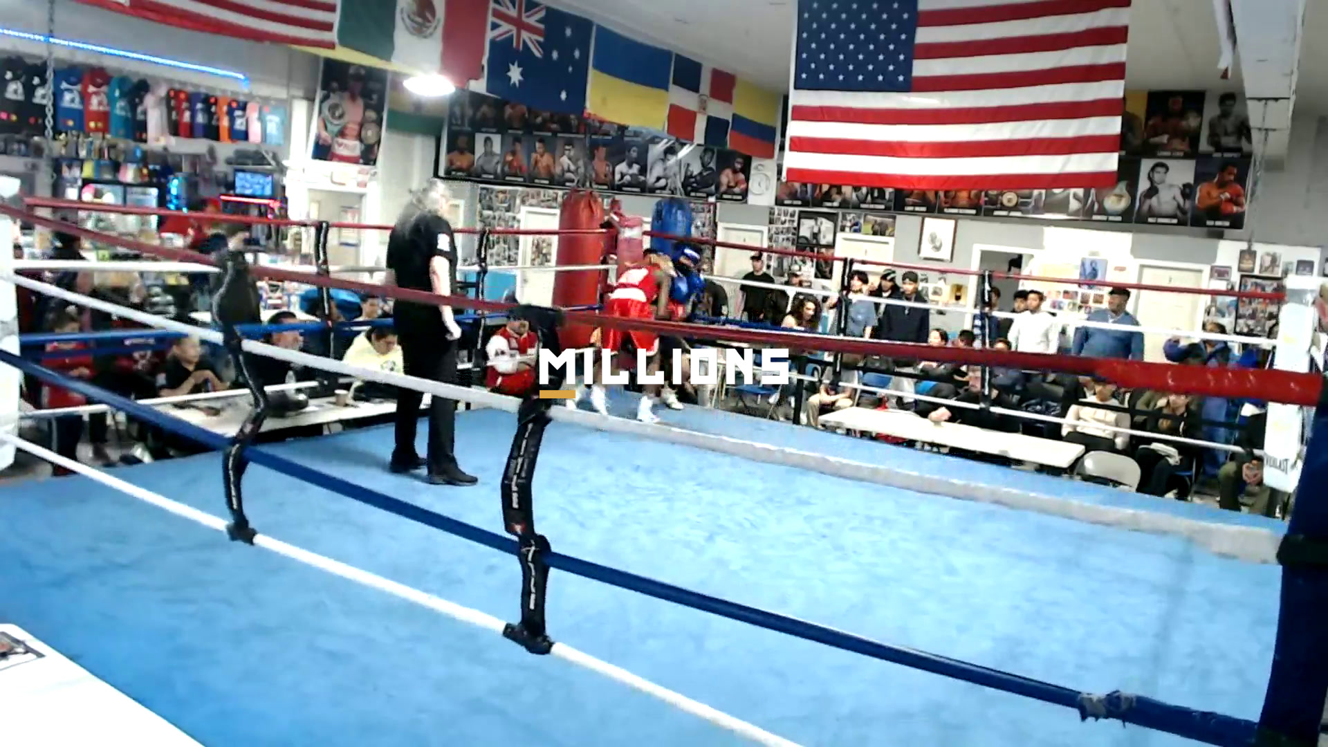 Ring Masters Championship — Highlig...