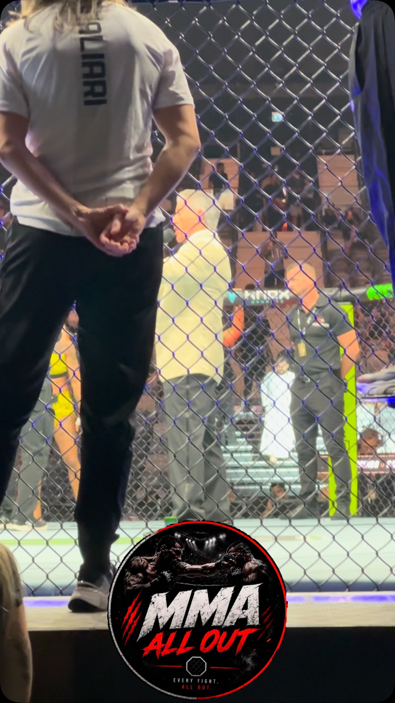 UFC 333: Volkanovski vs. Evloev tak...