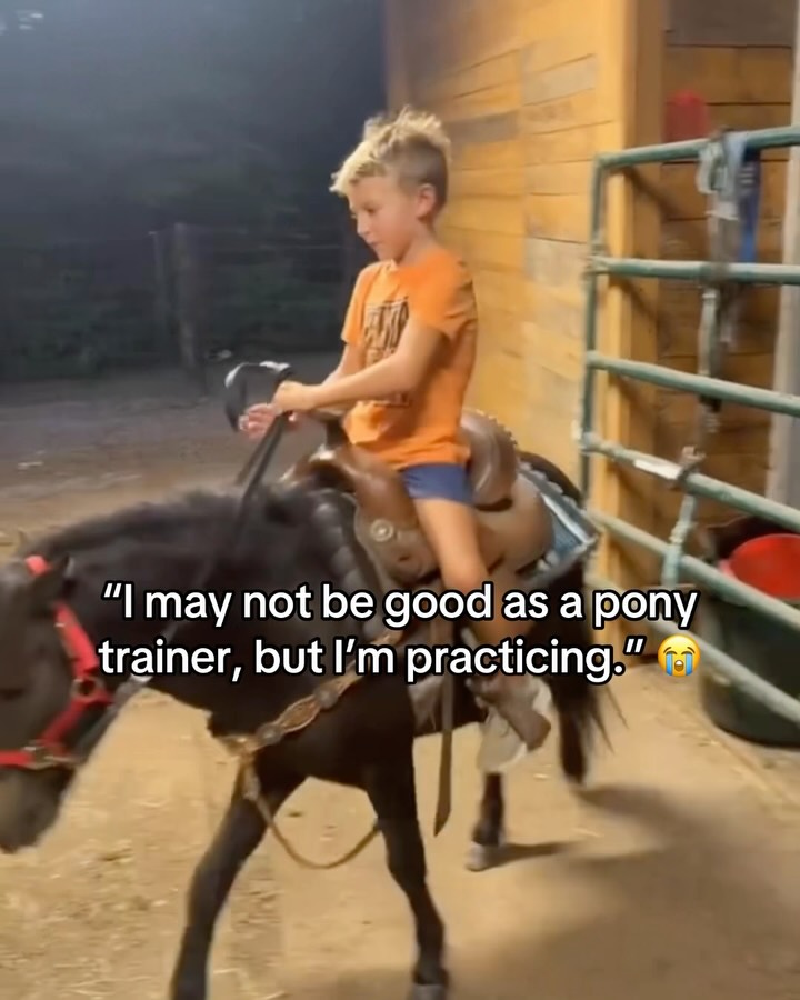 Pony training fail