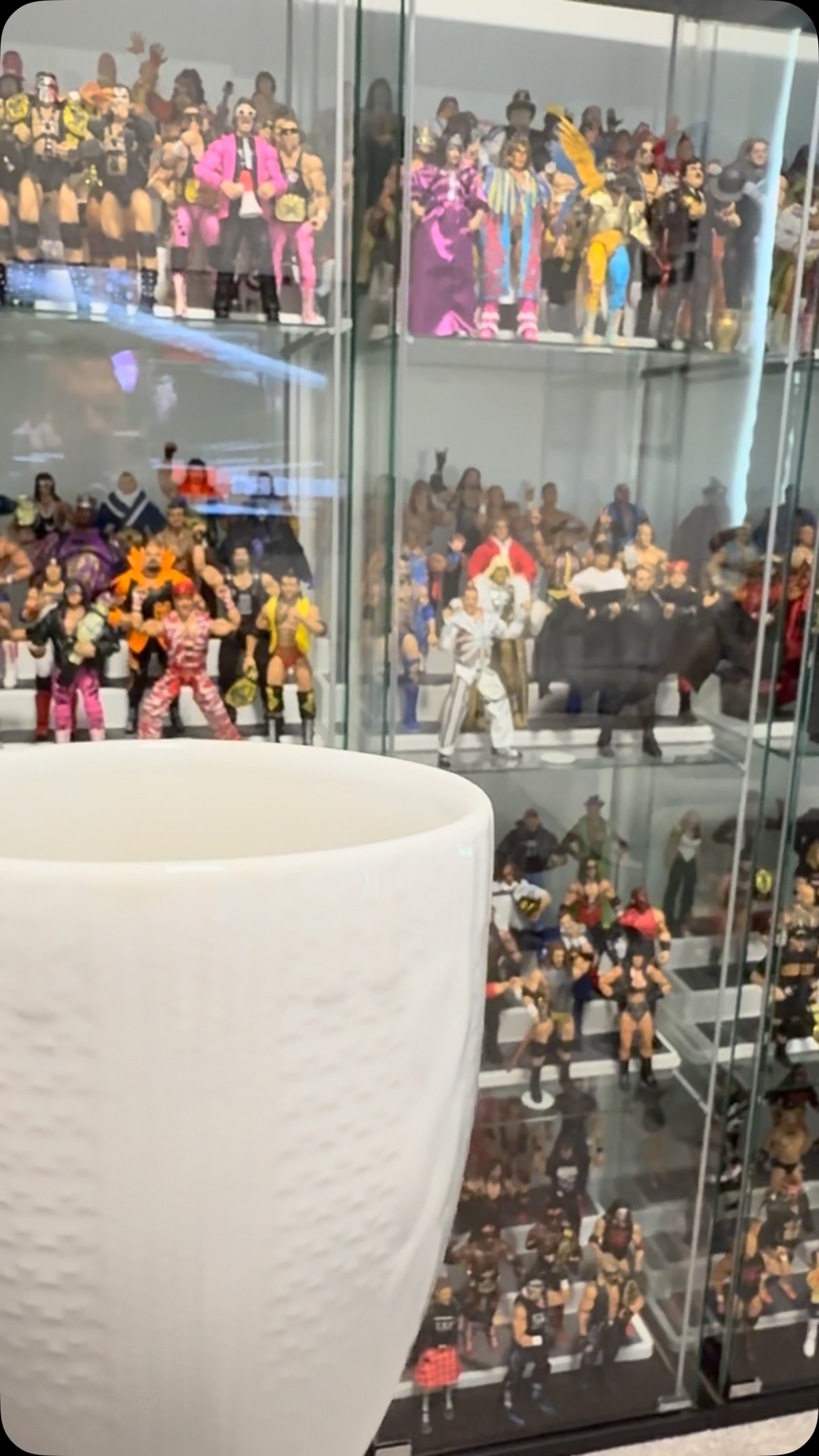 Wrestling action figures display