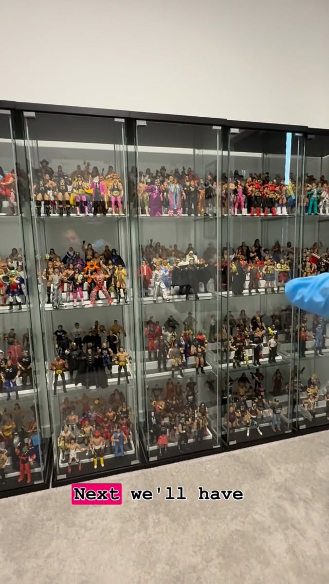 Wrestling action figure collection