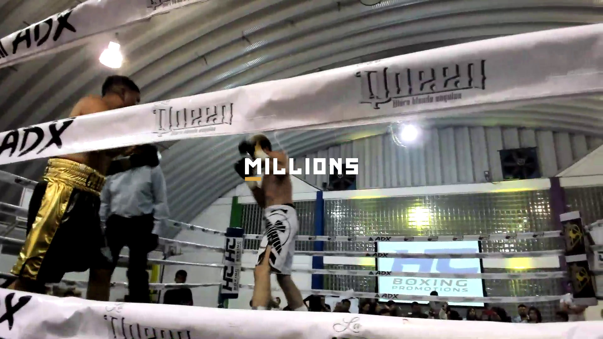 Loiseau vs Montes, Pro Boxing PPV —...