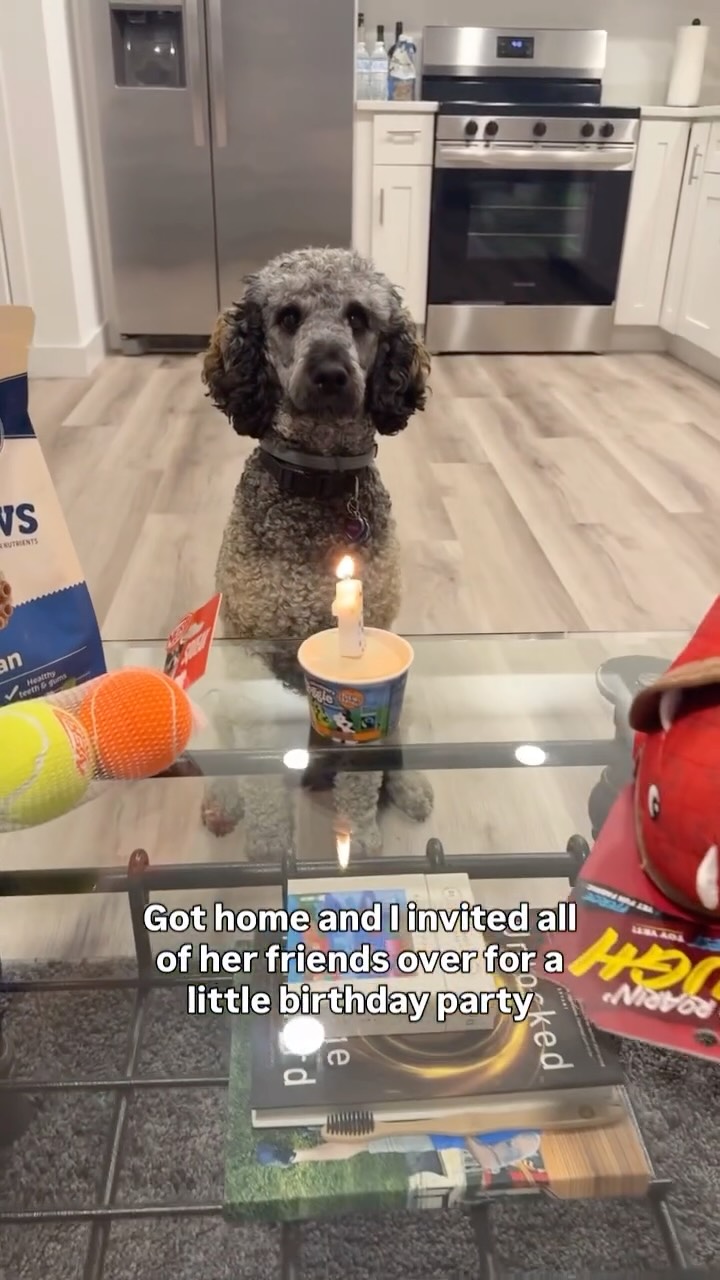 Rhea Ripley's dog celebrates its fi...
