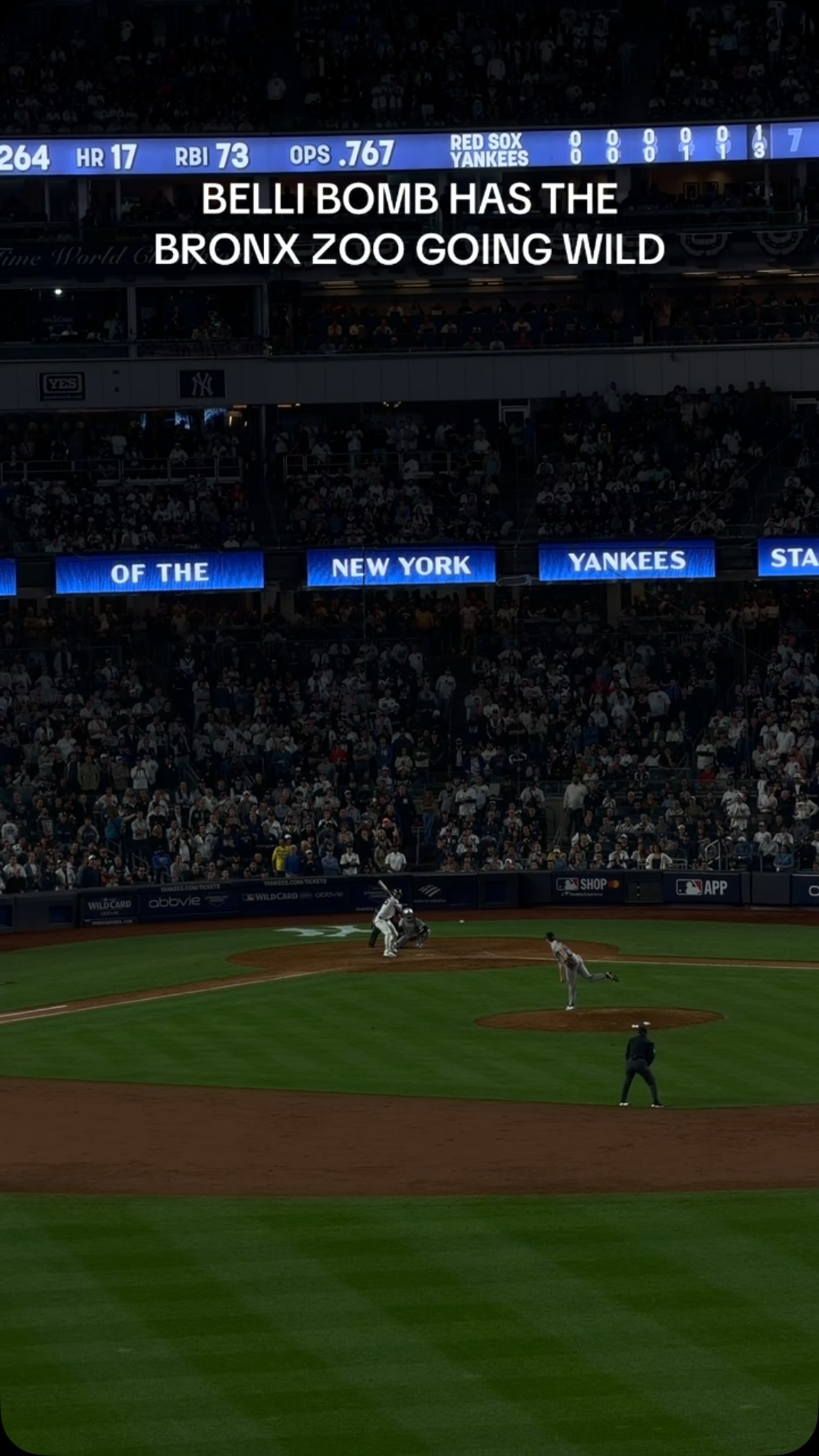 Belli bomb gets the Bronx Zoo going...