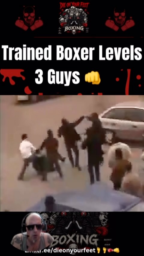 Trained Boxer Levels 3 Guys