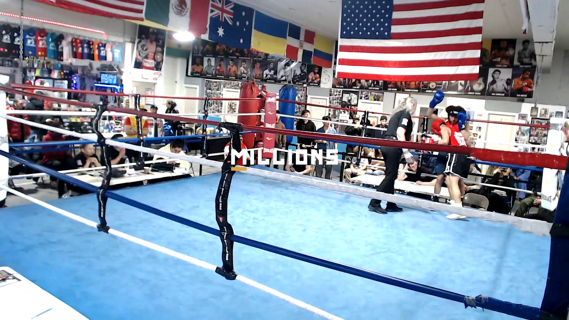 Ring Masters Championship — Highlig...