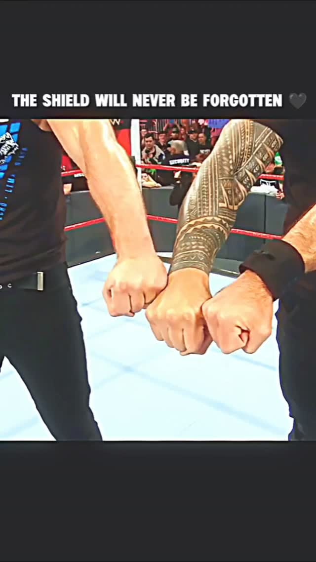 The Shield: Unforgettable Golden Da...