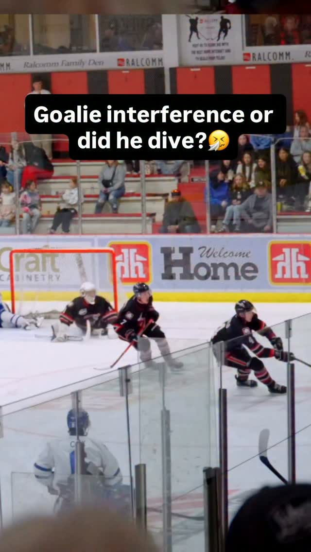 Goalie interference or a dive? You ...