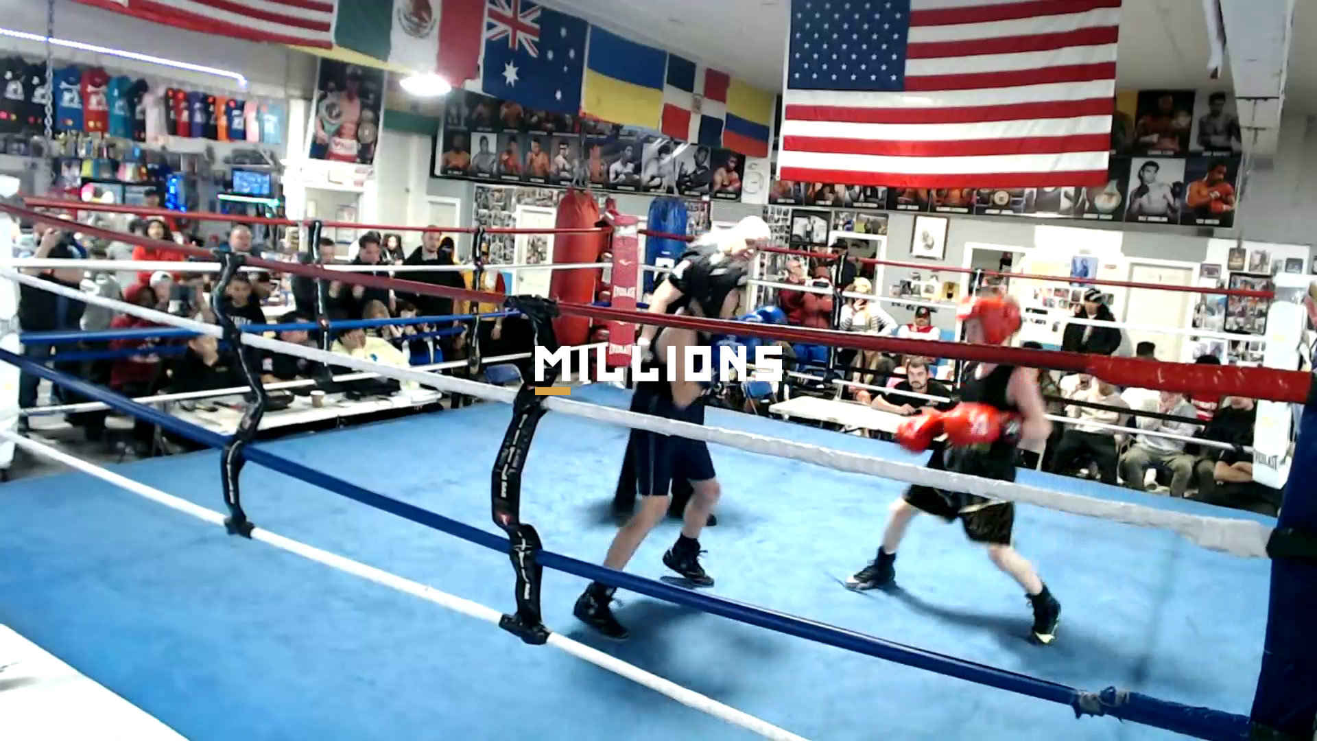 Ring Masters Championship — Highlig...