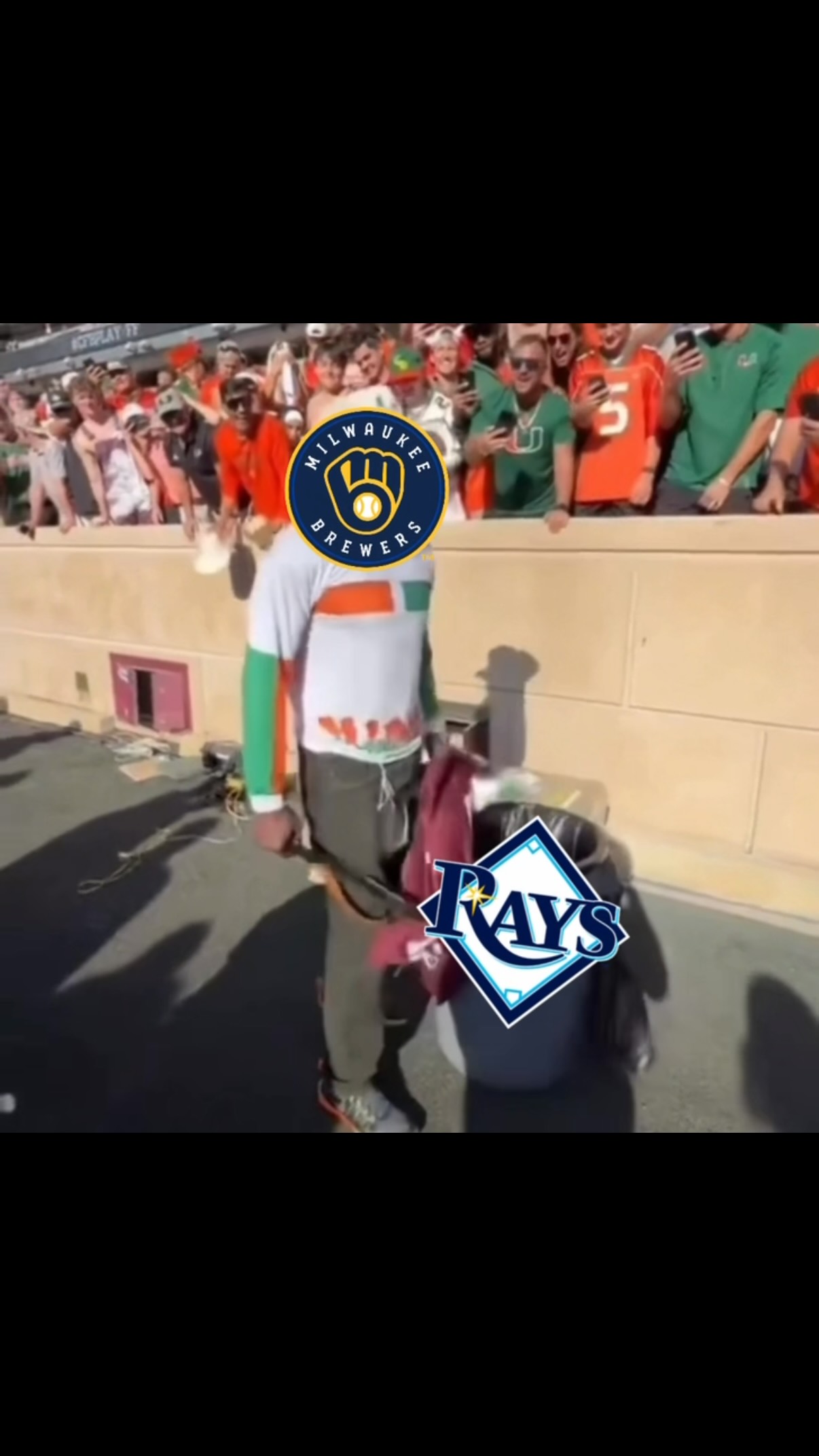 Milwaukee Brewers fan celebrates wi...