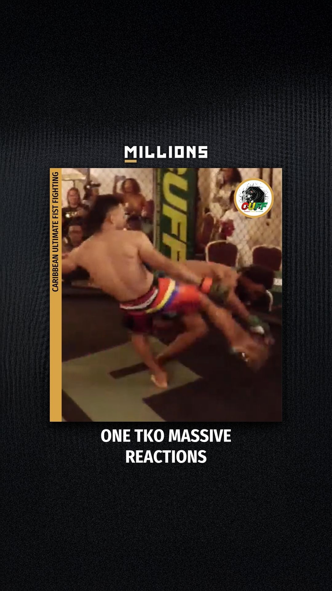 Caribbean Ultimate Fist Fighting : ...