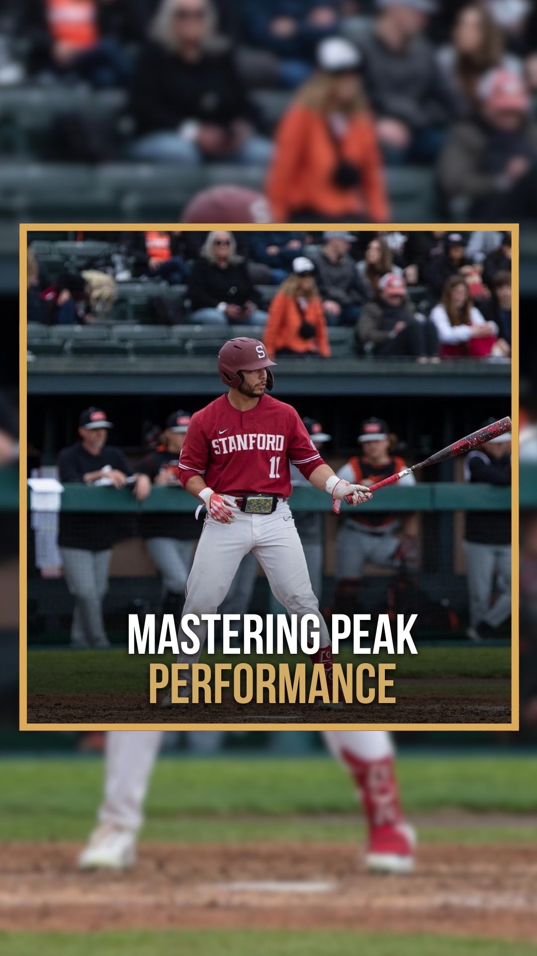 Alberto Rios: Mastering peak perfor...