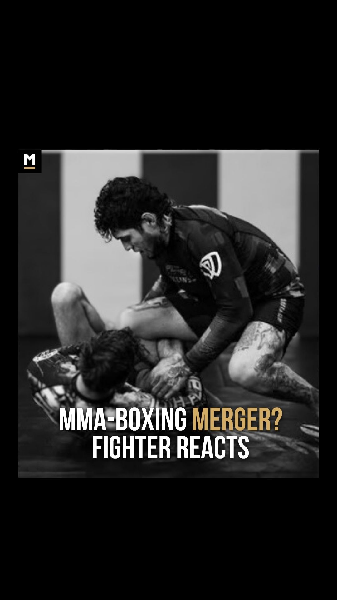 Alex Acosta: MMA-Boxing Merger? Fig... on MILLIONS Alex Acosta: MMA-Boxing Merger? Fig...