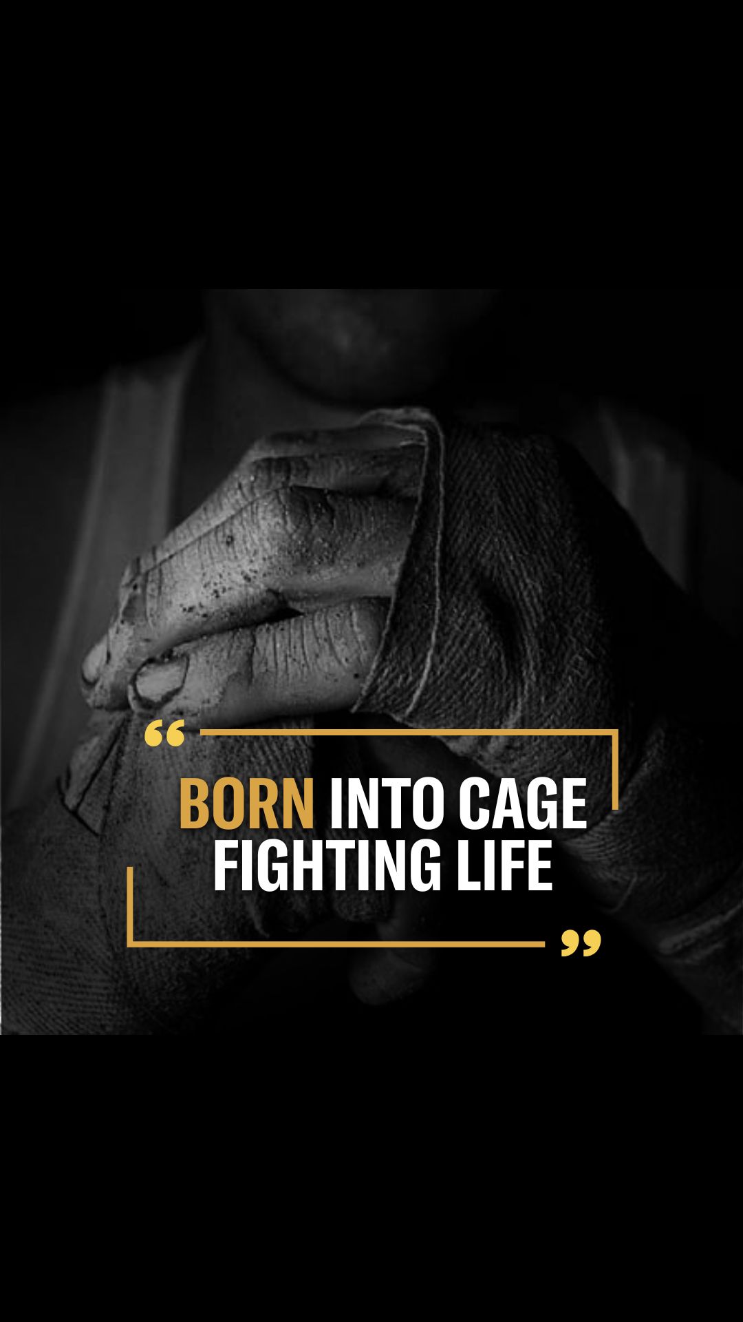 Alex Khan: Newcomer's Cage Fight Jo...