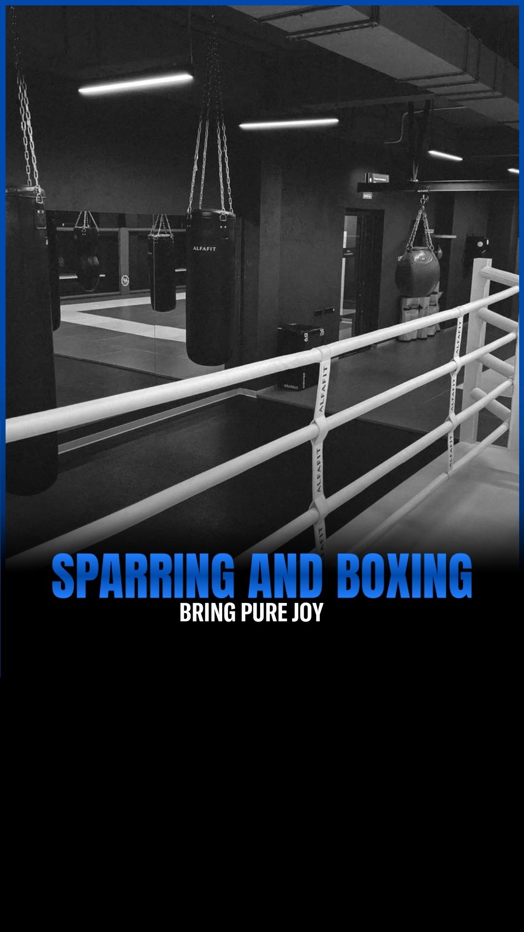 Alexander Gau: Finding Joy in the F...
