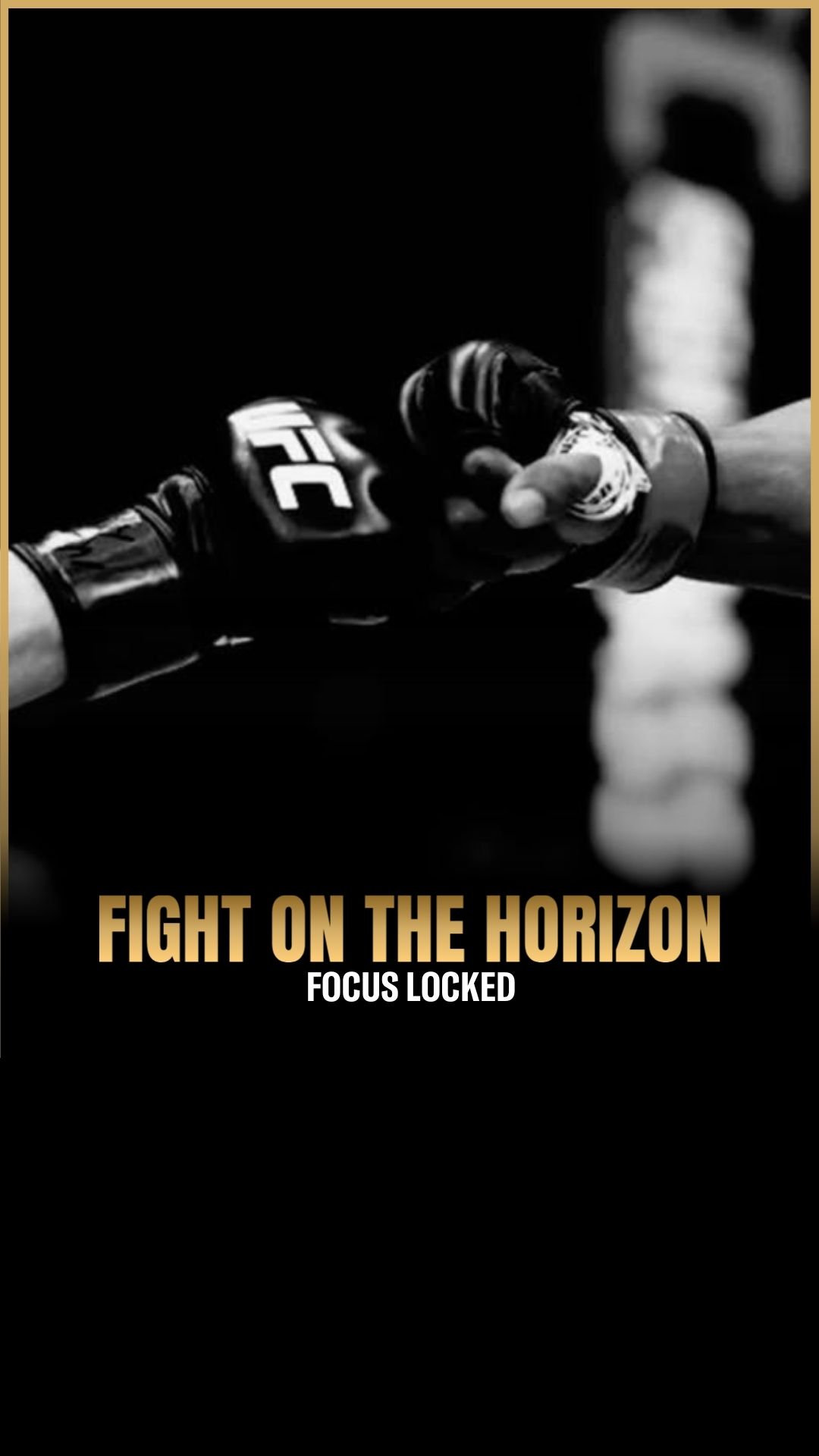 Alexander Gau: Chasing Fights, Chas...