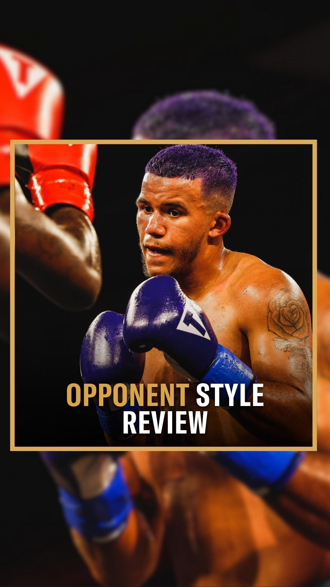 Alexander Schenk: Opponent Style Re...