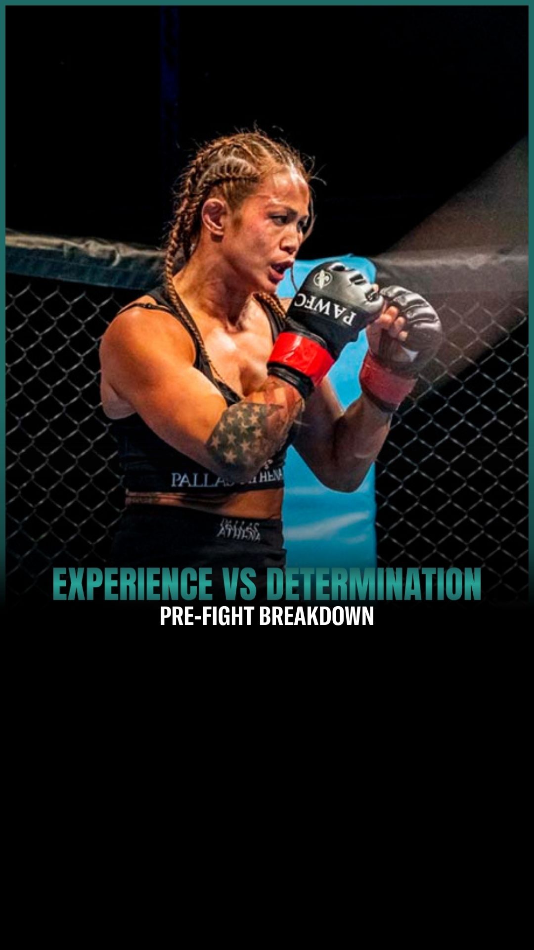 Andy Nguyen: Pre-Fight Game Plan | ...