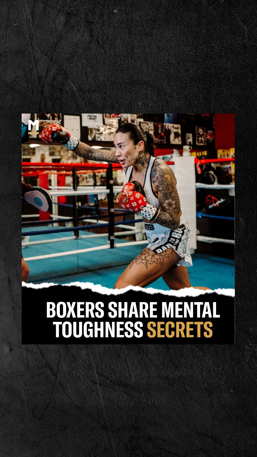 Aria Wild: Boxers Share Mental Toug... on MILLIONS Aria Wild: Boxers Share Mental Toug...