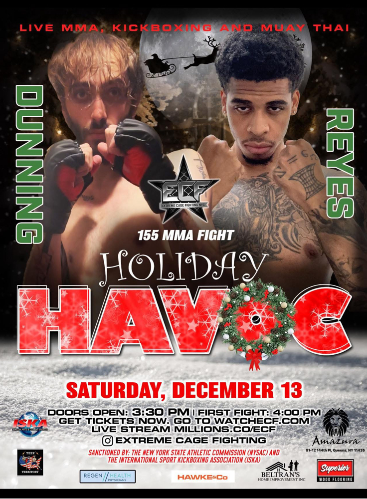 HOLIDAY HAVOC