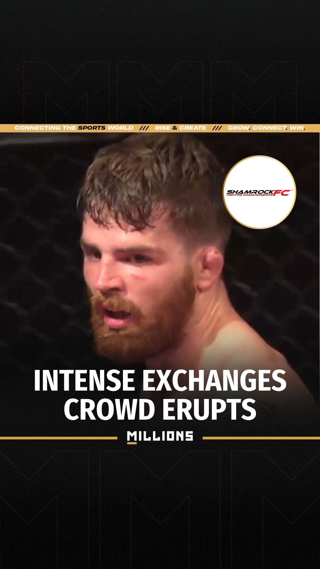 Austin Spangler | Elite Fighters Br... on MILLIONS Austin Spangler | Elite Fighters Br...
