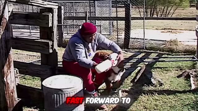 George Foreman's unbelievable under... on MILLIONS George Foreman's unbelievable under...