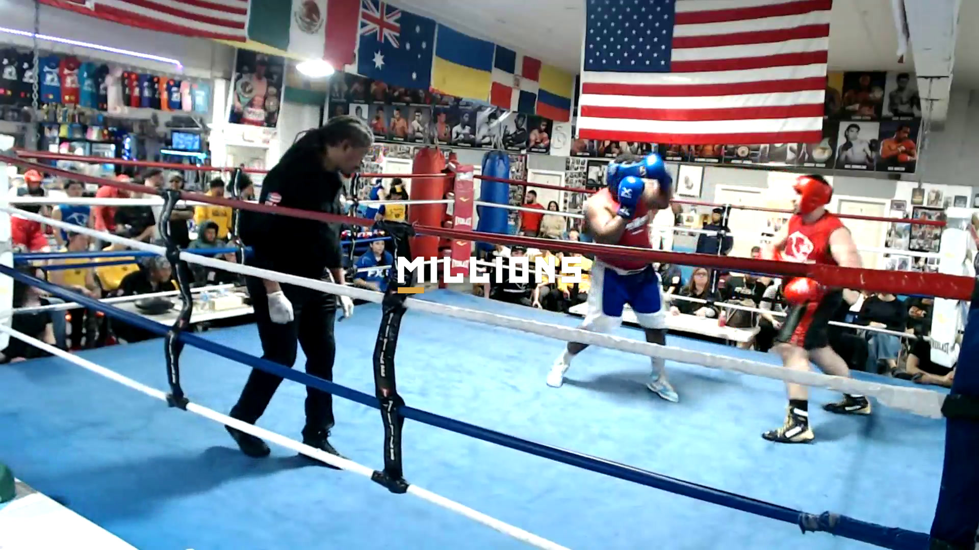 Ring Masters Championship — Highlig...