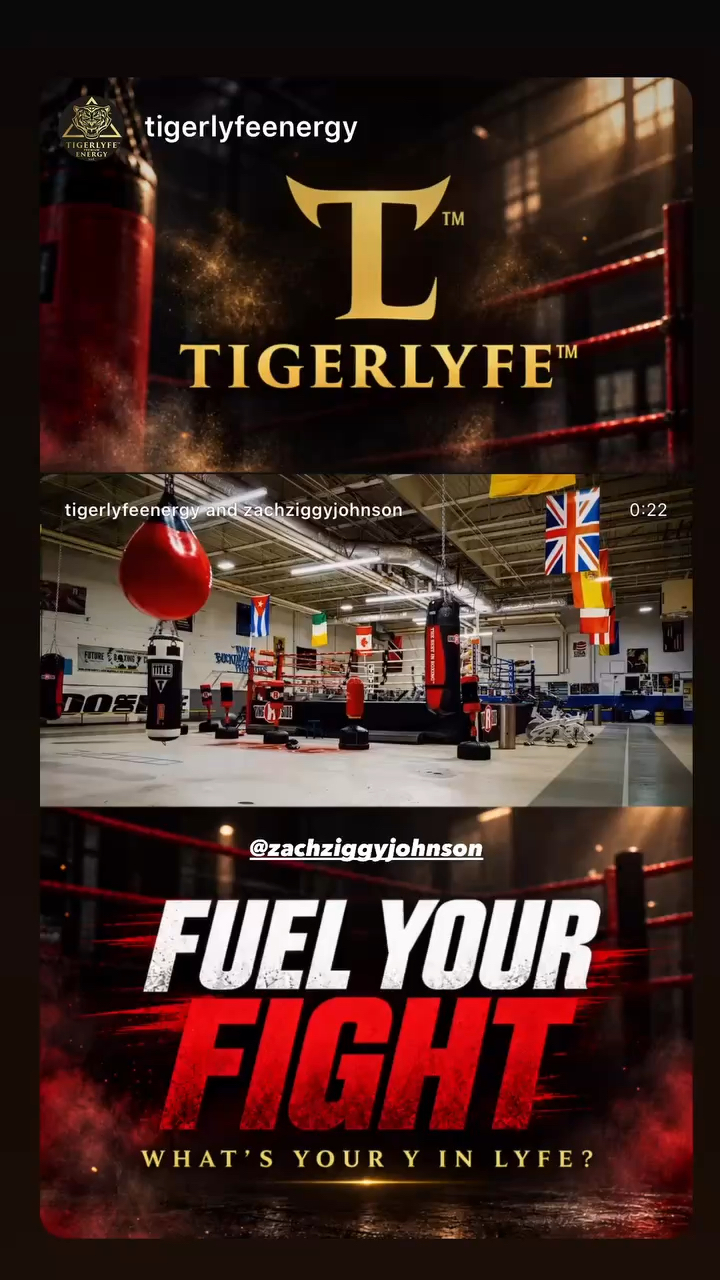 Shot a promo video for tiger lyfe e...