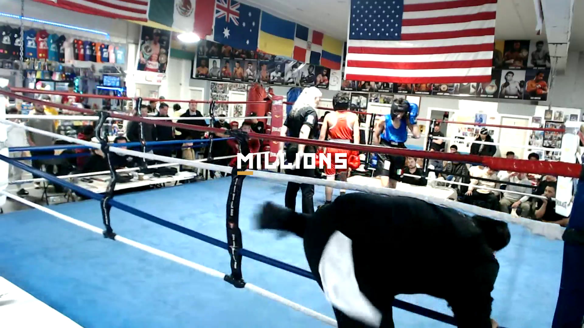 Ring Masters Championship — Highlig...