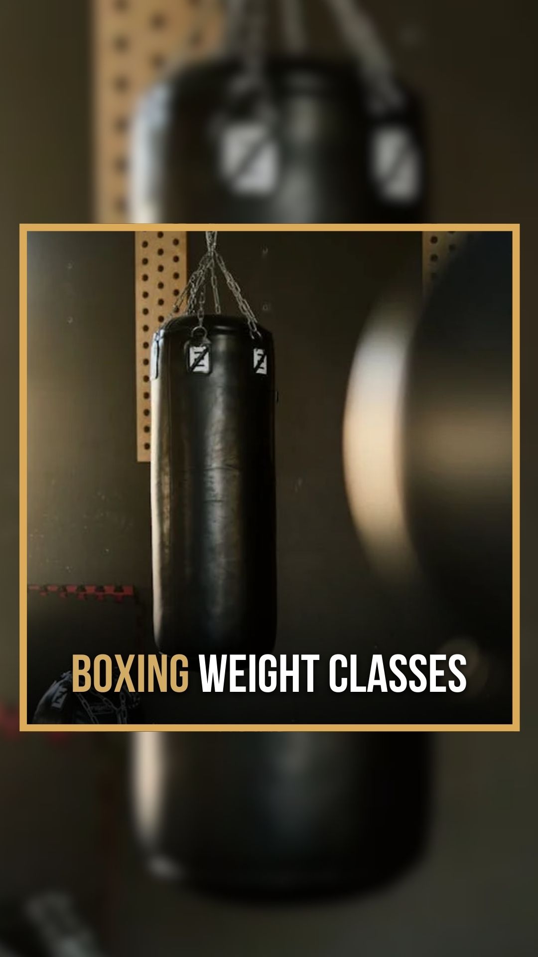 Cleotis Mookie Pendarvis: Boxing We...