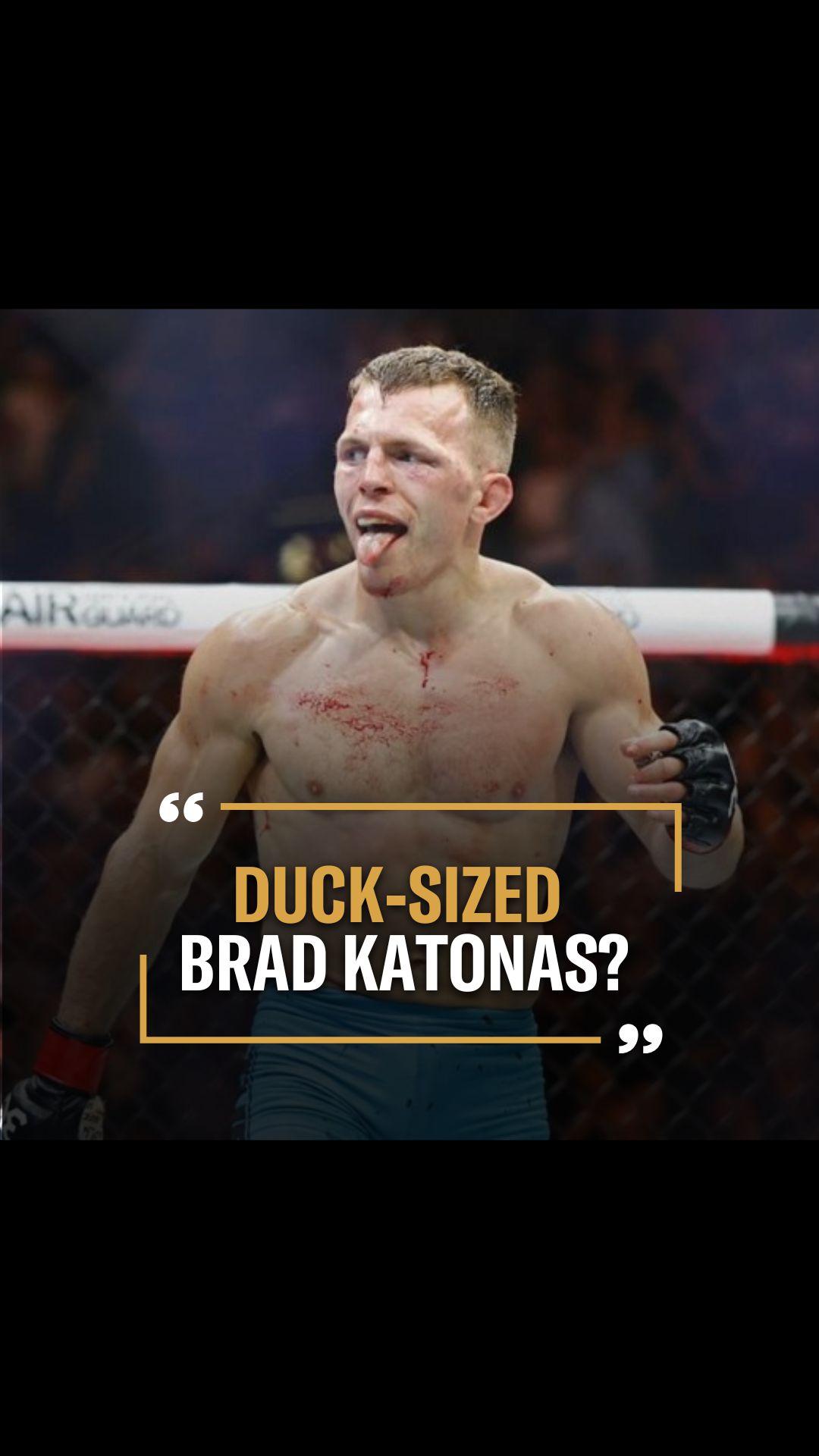 Cody Gibson: Duck-Sized Brad Catona...