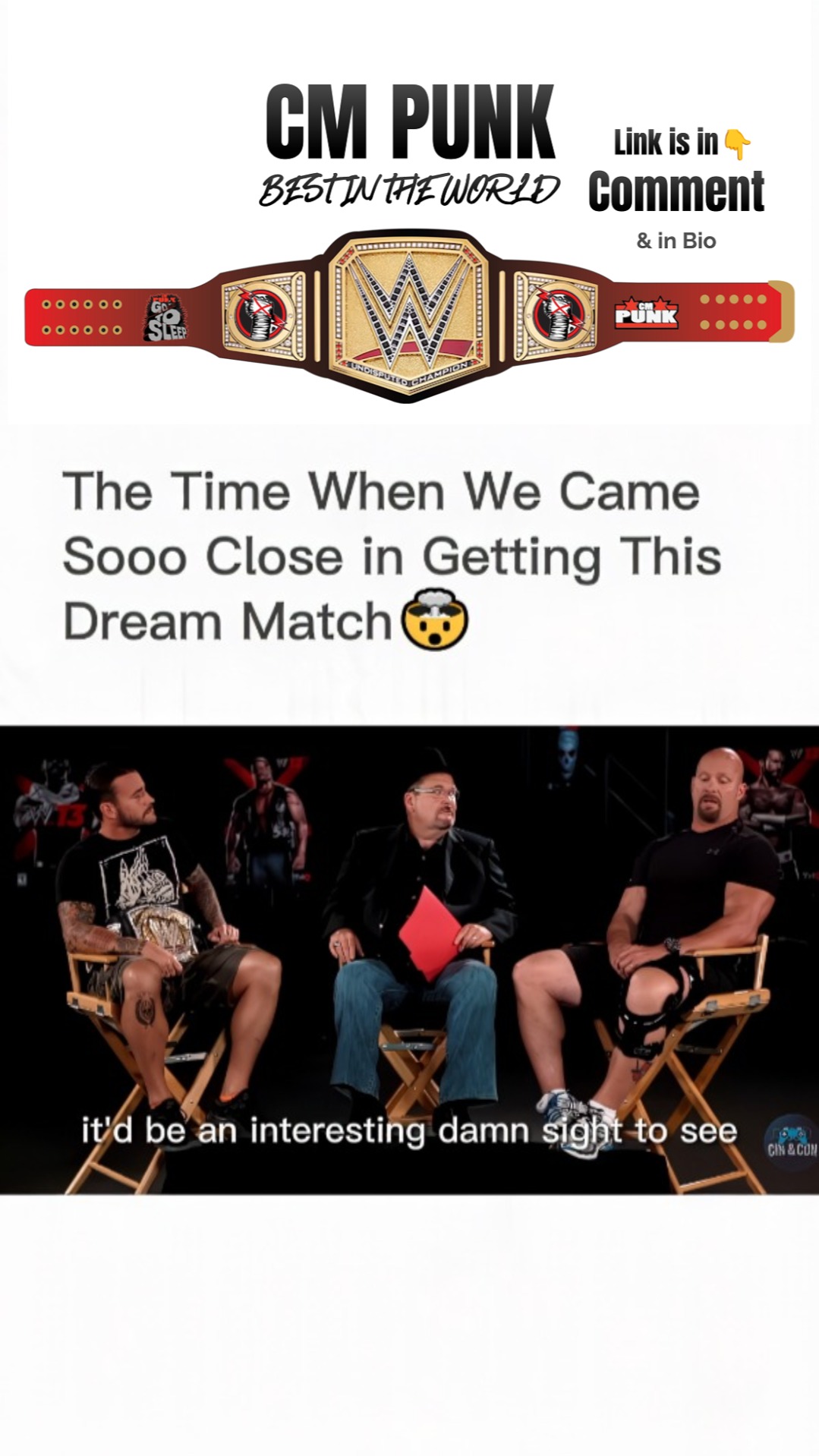 CM Punk and Stone Cold Steve Austin...