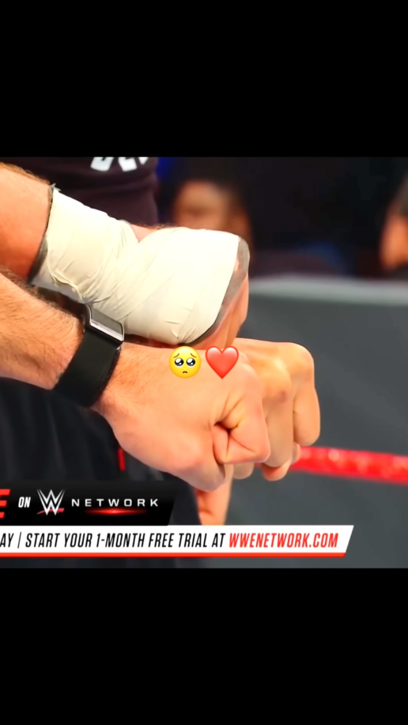The Shield in action: Roman Reigns,...