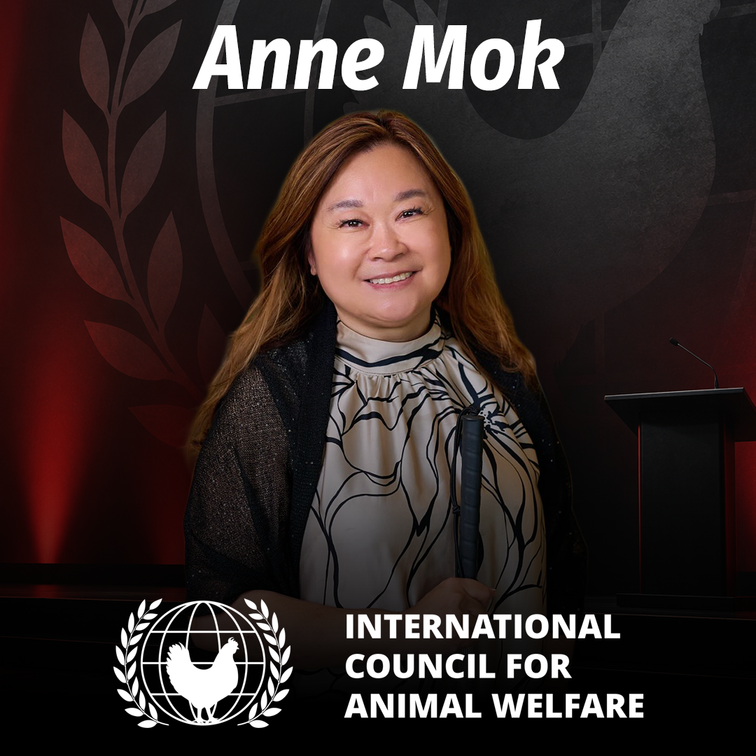 Anne Mok Reveals the Hidden Ingredi...